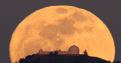 Lua Cheia de Perigeu estará visível nesta noite de terça-feira (14)