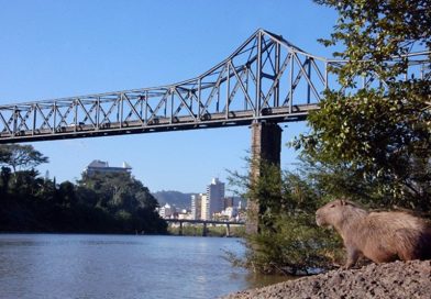 Manutenção neste sábado (12) fecha túnel da Ponte de Ferro