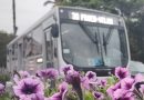 Projeto pode acabar com obrigatoriedade de cobradores nos ônibus de Blumenau