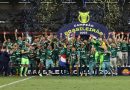 Palmeiras conquista o 12º título do Campeonato Brasileiro