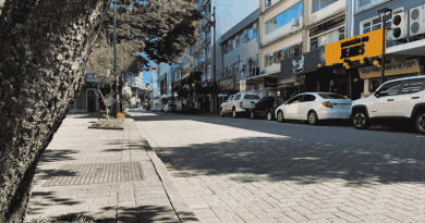 Audiência Pública em Blumenau busca soluções para desafios do comércio local