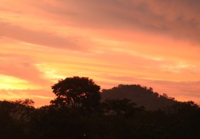 Outono começa com calor acima da média e variação de temperatura em Santa Catarina