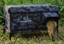 Caixas térmicas que ajudam gatos de rua no inverno ganham popularidade nos Estados Unidos