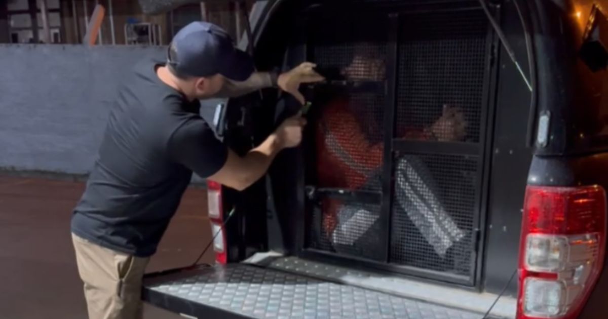 Polícia Civil prende dois suspeitos de tentativas de homicídio em boate às margens da BR-470, em Blumenau