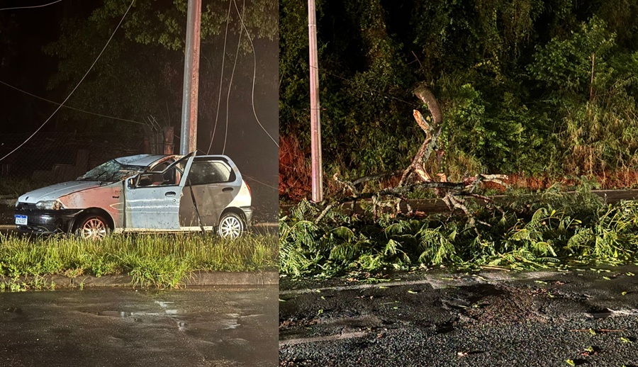 Queda de árvore atinge carro e rede elétrica, causa ferido e deixa região sem energia em Blumenau