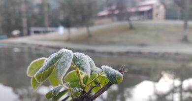 Serra Catarinense registra -5,6°C, a menor temperatura do ano no estado