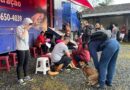 Prefeitura de Indaial abre inscrições para programa de castração gratuita de cães e gatos
