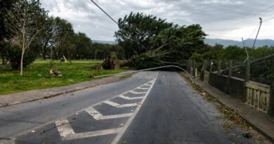 Frente fria provoca ventania de mais de 100 km/h no litoral de São Paulo