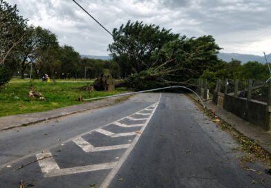 Frente fria provoca ventania de mais de 100 km/h no litoral de São Paulo