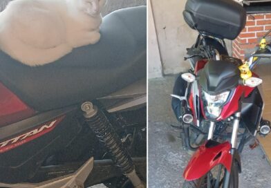 Casal de Blumenau busca motocicleta furtada e alerta para golpe após divulgação nas redes sociais