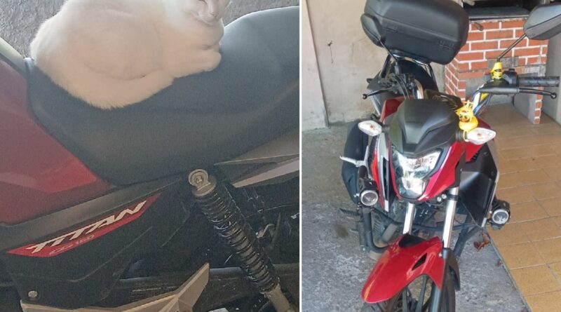 Casal de Blumenau busca motocicleta furtada e alerta para golpe após divulgação nas redes sociais