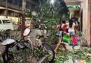 Vendavais deixam cinco mortos e provoca destruição nos estados de São Paulo e Rio de Janeiro