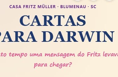 Novo minigame da Casa Fritz Müller recria cartas para Darwin