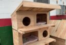 Penitenciária de Blumenau inicia produção de casinhas para gatos comunitários