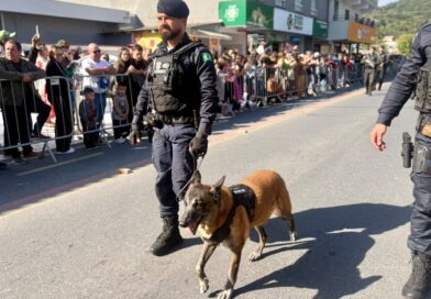Cão Black reencontra Guarda Municipal e emociona público em Balneário Camboriú