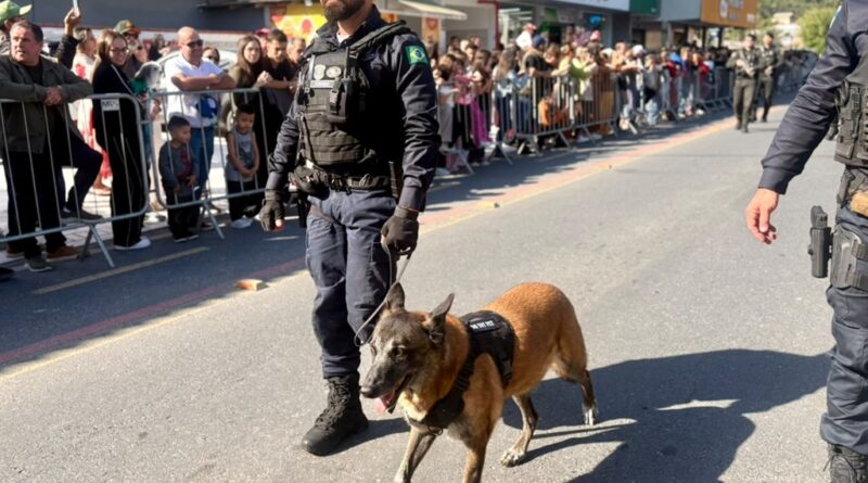 Cão Black reencontra Guarda Municipal e emociona público em Balneário Camboriú