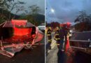 Carretinha com dois cavalos tomba na SC-110, em Rodeio