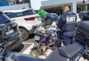 Guarda Municipal recupera motocicleta furtada durante a Oktoberfest em Blumenau