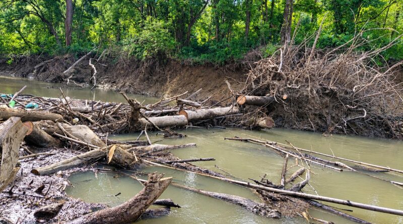 Defesa Civil de Rio do Sul remove 30 toneladas de madeira do leito do Rio Trombudo